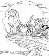 Lion Coloring King Pages Animal Colouring Pride Disney Kids Life sketch template