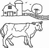 Coloring Cattle Cow 1674 17kb Sheets sketch template