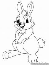 Rabbit Kelinci Mewarnai Rabbits Hewan Sketsa Montagna Realistic Binatang Ayomewarnai Ayo Dunia Halaman sketch template