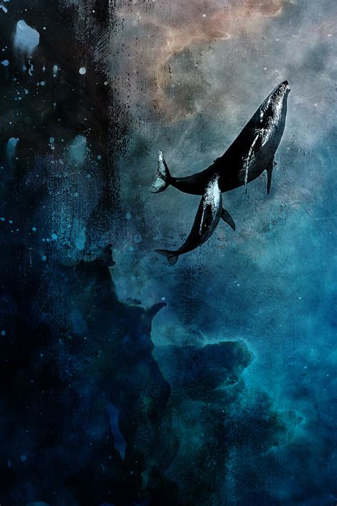 flying whales  axcy  deviantart