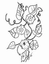Campanula Bell Flower Coloring Pages Bellflower Supercoloring Printable Categories Color sketch template