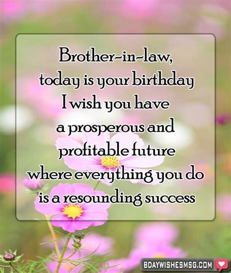 birthday wishes  brother  law bdaywishesmsg
