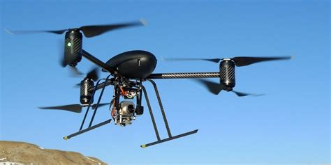 drone membuat hewan stres