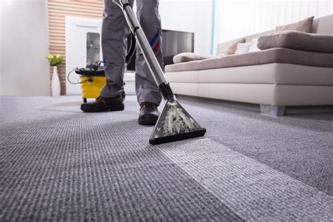 carpet cleaning american steam