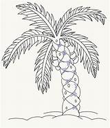Palm Tree Draw Drawing Easy Leaf Small Trees Drawings Leaves Step Texture Easydrawingguides Add Lines Bark Guides Pencil Getdrawings Arrowhead sketch template