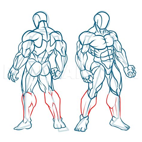 draw muscles step  step drawing guide  kingtutorial