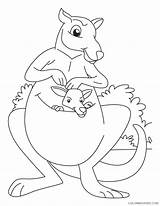Coloring4free Kangaroo Coloring Pages Printable Kids Baby Related Posts sketch template