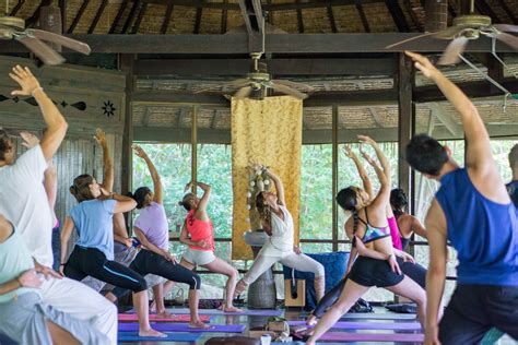 yoga retreats  koh phangan thailand year  pure flow yoga