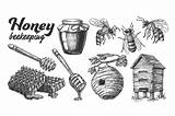 Beekeeping Apiary sketch template