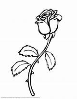 Rose Clipart Color Coloring Clip Clipground Pages Vines Drawings sketch template