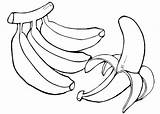 Coloring Bananas Pages Banana Kids Fruit Template Monkey Choose Board Tree sketch template