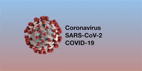 coronavirus tubuh kuat