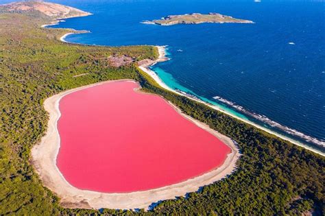 la laguna rosa de torrevieja  paraje unico bello  misterioso