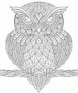 Sowa Antystresowa Kolorowanka Druku Zentangle Zentagle Mandala Owl Drukowania Malowankę Wydrukuj sketch template