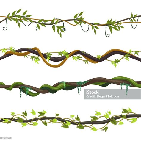 set  isolated jungle vines twisted liana plant stock illustration  image  vine