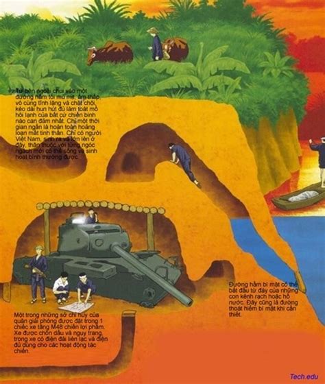 What Was The Vietcong Tunnel System Like How Did They