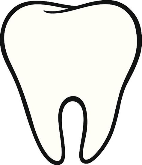 tooth illustrations royalty free vector graphics and clip art istock