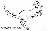 Pachycephalosaurus Names Dinossauro Dinosaure Colorir Coloriage Triceratops Brontosaurus Pritnable Colorier Dessin Tudodesenhos Freekidscoloringpage Coloriages Olphreunion Imprimir 1526 sketch template