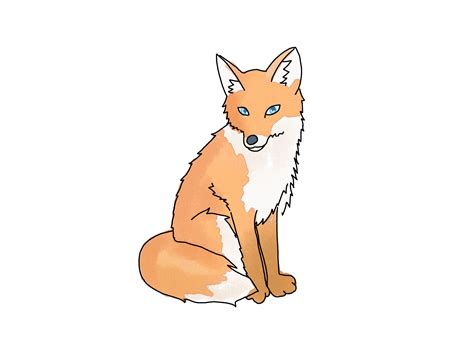 draw  fox foxes drawings  fox drawing