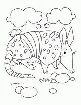 Coloring Armadillo Cloud Pages Seven Popular Books sketch template