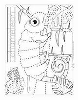 Chameleon Tracing Worksheets Jungle Coloring Craft Kids Animals Worksheet Mixed Kindergarten Reptile Reptiles Preschool Activities Carle Eric Open Safari Choose sketch template