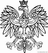 Eagle Coloring4free Coloring Pages Polish Printable Related Posts sketch template