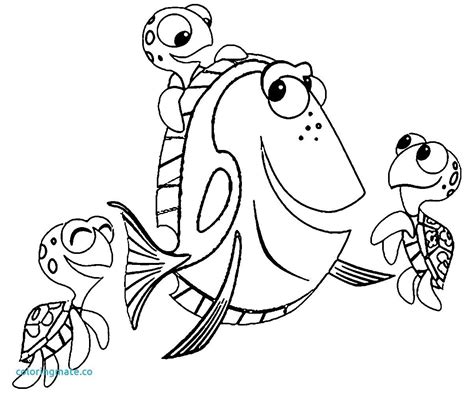 inspired photo  finding dory coloring pages davemelillocom