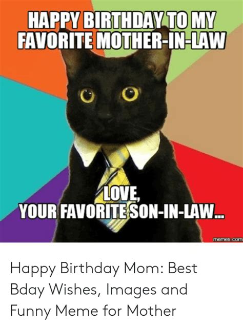 Happy Birthday Son In Law Funny Meme Meme Walls