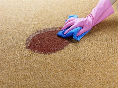 blood    tough carpet stain video huffpost