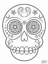 Simple Coloring Skulls Template Skull Sugar Drawings sketch template