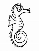 Coloring Seahorse Clipart Pages Clip Cute sketch template