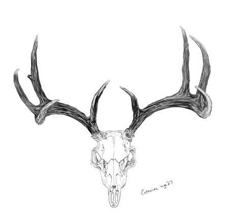 deer antlers sketch sketch template antler tattoos deer skull