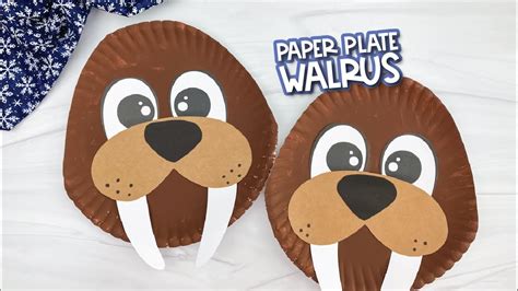 paper plate walrus craft  kids youtube
