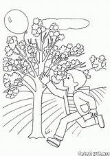 Roku Colorkid Pory Wiosna Jahreszeiten Junge Ragazzo Sfera Kolorowanki Printemps Kugel Estaciones Willow Kolorowanka Ropa Garçon Saisons Chłopiec Bola Muchacho sketch template