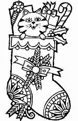 Coloring Pages Christmas Cat Color Hard Adults Stocking Sock Cute sketch template