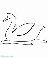 Swan Drawing Coloring Pages Simple Drawings Easy Book Cute Kids Baby Google Print Nl Animals Sketches Template Animal Hens Penguin sketch template