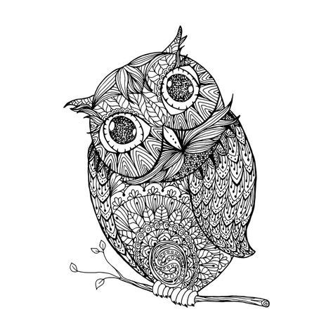 zentangle style owl illustration  ornanets fill  adult coloring