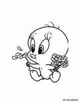 Piolin Toons Flores sketch template