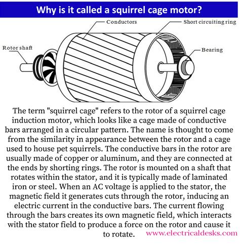 called  squirrel cage motor
