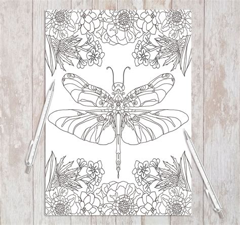 printable adult coloring page dragonfly instant  etsy