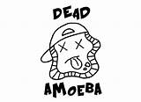 Amoeba Getdrawings Drawing sketch template