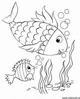 Coloring Print Pages Kids Fish Omalovanky Ryby Vytisknuti Drawing sketch template