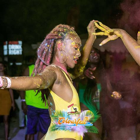 reggae sumfest lleva en alto la bandera musical de jamaica sound travel