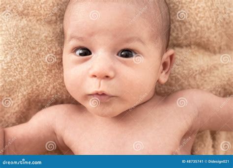 funny newborn baby face stock image image  background