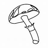 Fungi Coloring Pages Plants sketch template