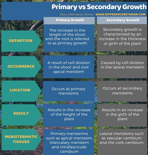 difference  primary  secondary growth