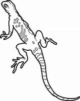 Coloring Lizard Pages Gecko Leopard Kids Monitor Getdrawings Realistic Getcolorings Drawing Printable Sheets sketch template