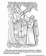 Jesus Coloring Pages Zacchaeus Tree Bible Teaches Testament Climbs Printables sketch template