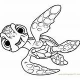 Squirt Coloringpages101 Dory sketch template