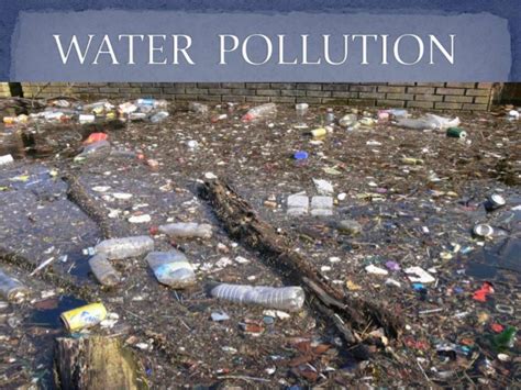 water pollution   harmful effects  humans  environment environmental pollution